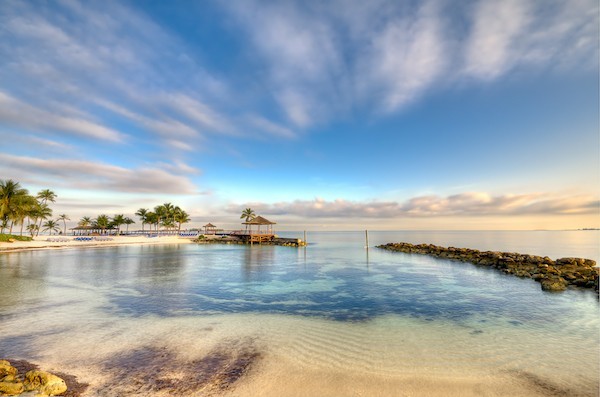 Tranquil beach scene with a clear blue sky, calm waters, a sandy shore, palm trees, and a pier extending into the sea.
