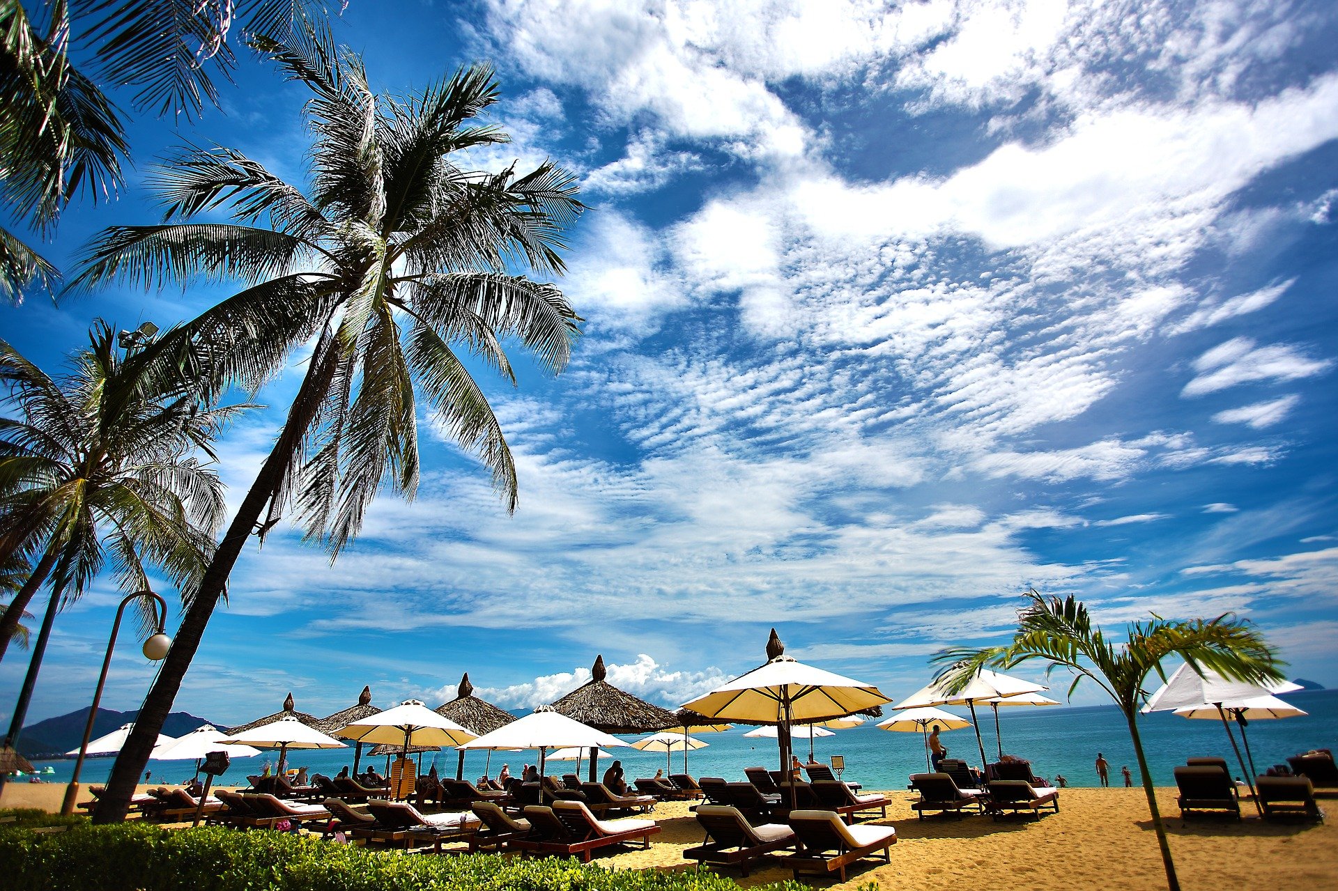 Tropical beach with lounge chairs under umbrellas and palm trees against a backdrop of a blue sky with fluffy clouds.
