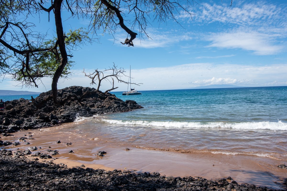 A rocky beach with a few trees branches frames a calm ocean view, with a sailboat anchored in the distance under a blue sky with scattered clouds.